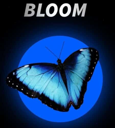 BLOOM | Byg Smyle | Bella | Lyrics